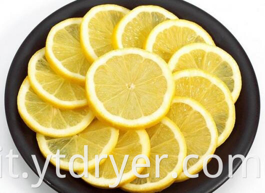 Lemon Slice